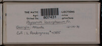 Image Associated With the Occurence